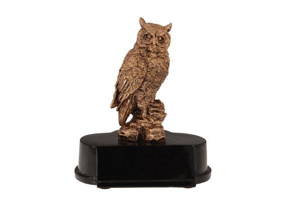 Owl Resin Trophy - Schoppy's Since 1921