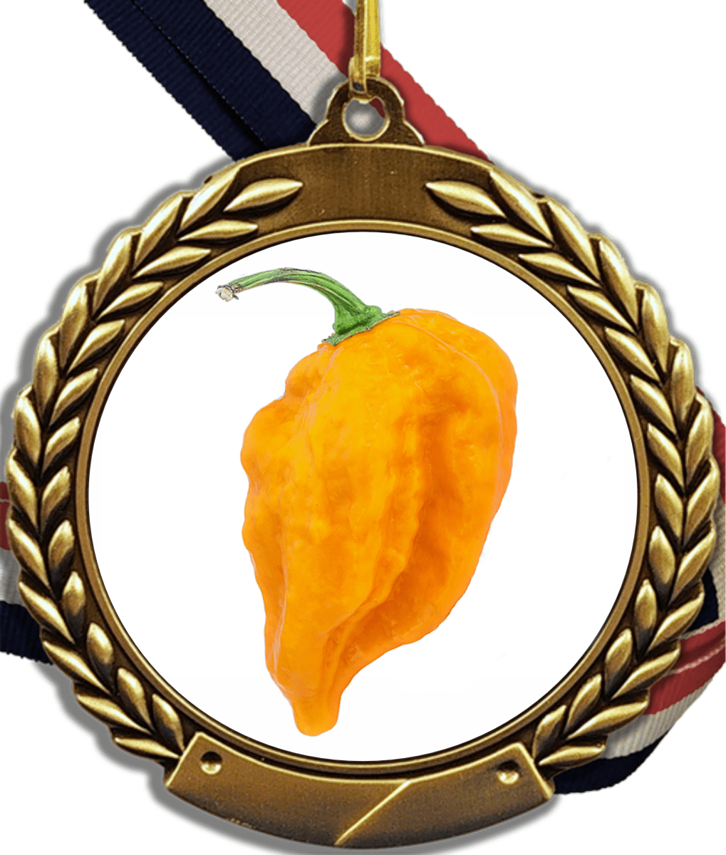 Pepper Logo Medal - Your Choice of Neck Ribbon Color - Schoppy's Since 1921