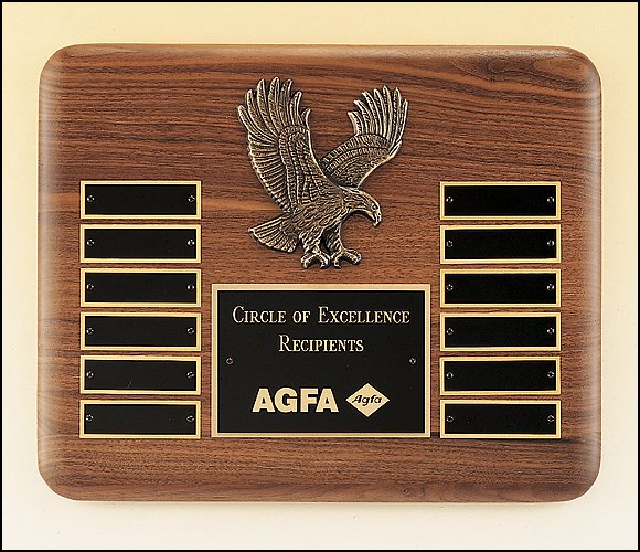 Perpetual 10.5" x 13" American Eagle Plaque - Schoppy's Since 1921