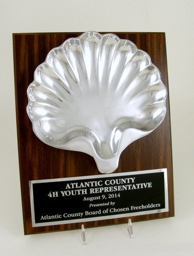 Pewter Shell Plaque - Schoppy's Since 1921