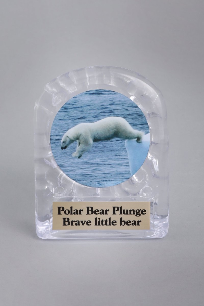 Polar Bear Plunge Ice Shell Acrylic Trophy - Schoppy's Since 1921