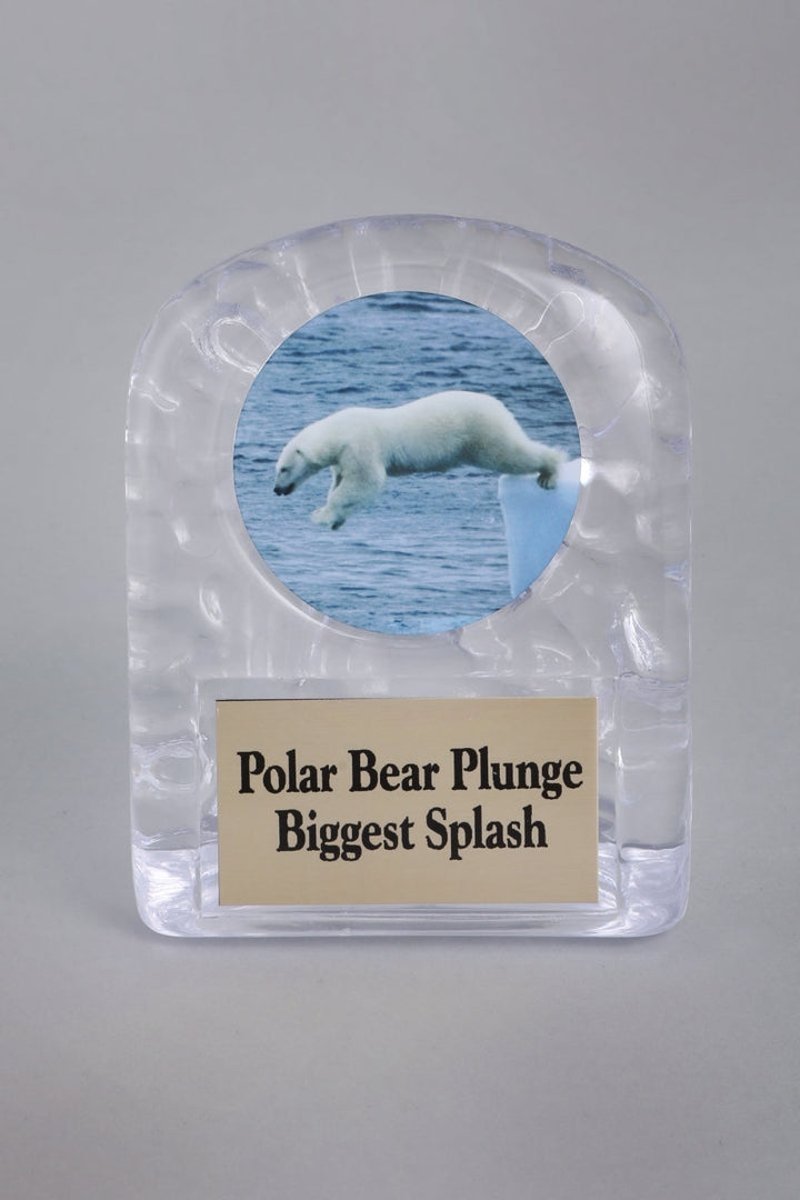 Polar Bear Plunge Ice Shell Acrylic Trophy - Schoppy's Since 1921