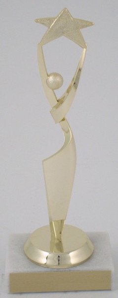 Reach for the Stars Trophy on Marble Base - Schoppy's Since 1921