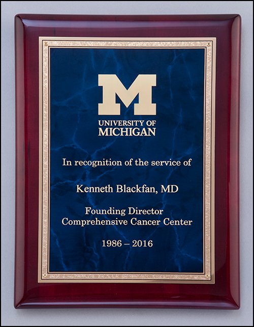 Colored Marble Gold Florentine Border Plate on Rosewood Piano - Finish Plaque - Schoppy&