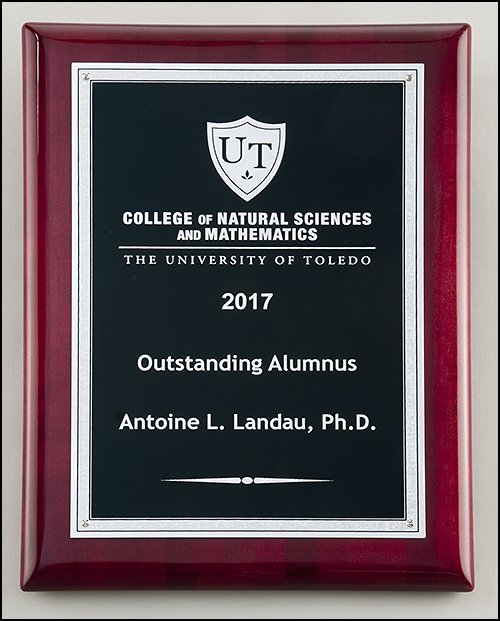 Silver Florentine Border with Textured Black Center on Rosewood Piano - Finish Plaque - Schoppy's Since 1921