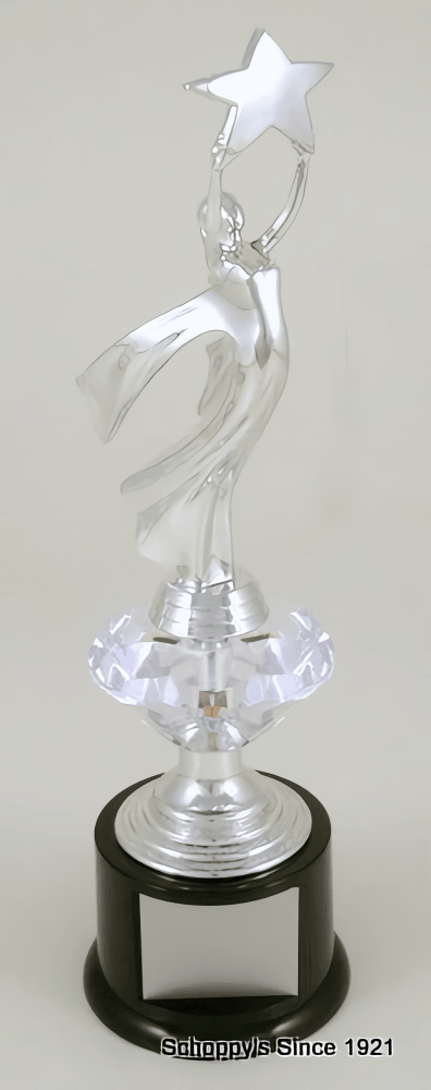 Silver Star Triumph Award - Schoppy&