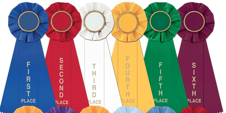 Single Custom Place Large Rosette Ribbon - Schoppy&