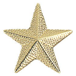 Star Chenille Pin - Schoppy's Since 1921