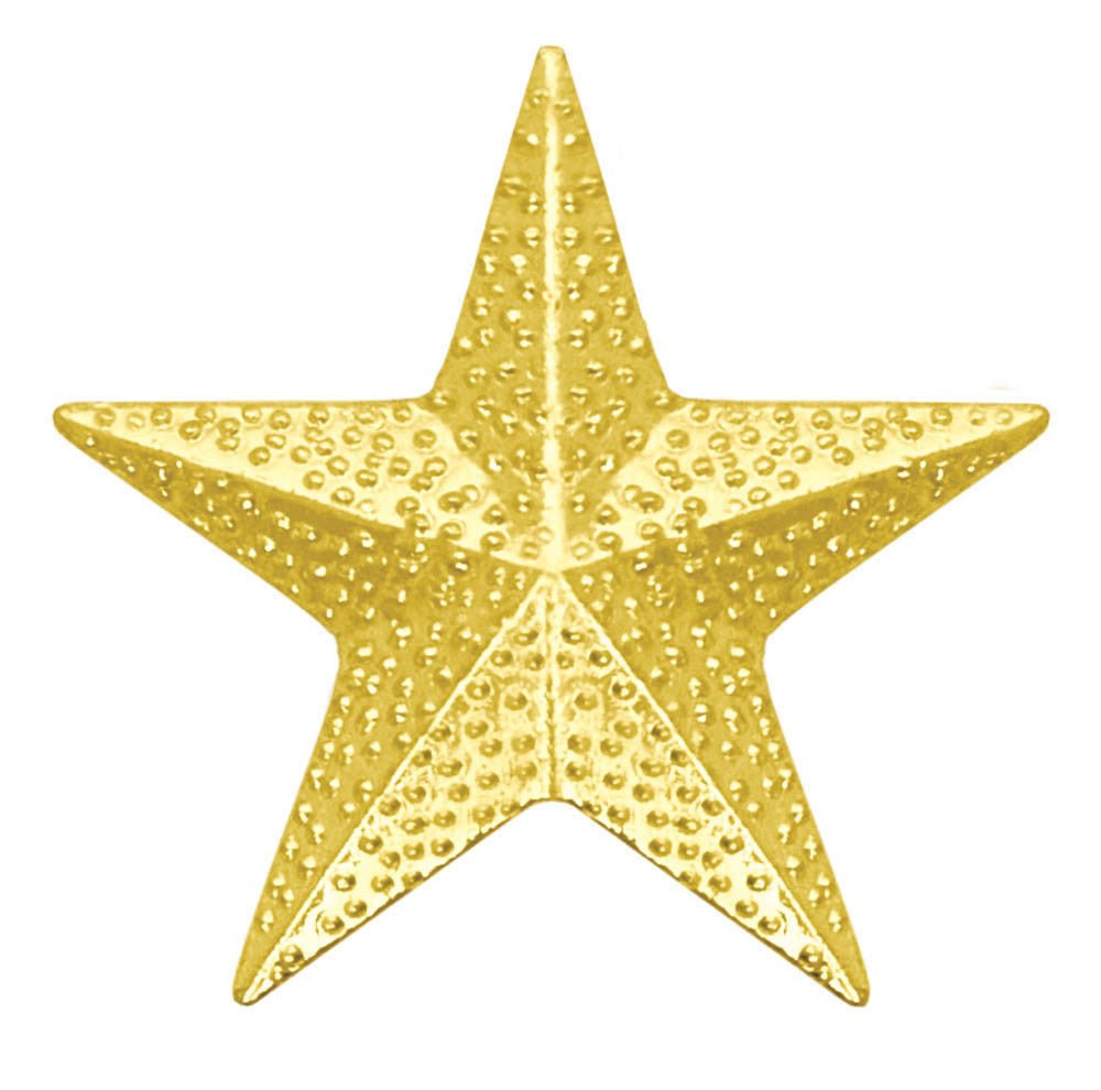 Star Chenille Pin - Schoppy's Since 1921