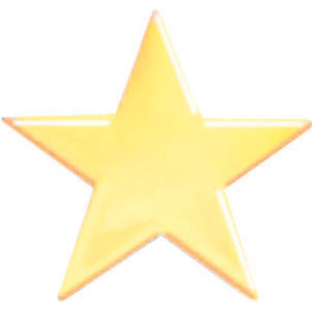 Star Lapel Pin - Schoppy's Since 1921