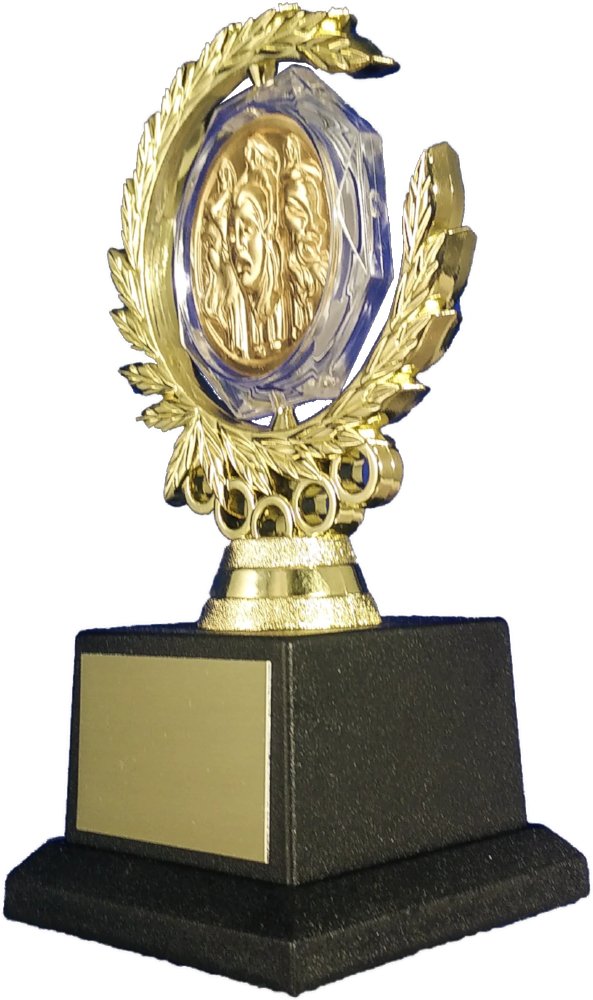 Toni Award-Trophies-Schoppy's Since 1921