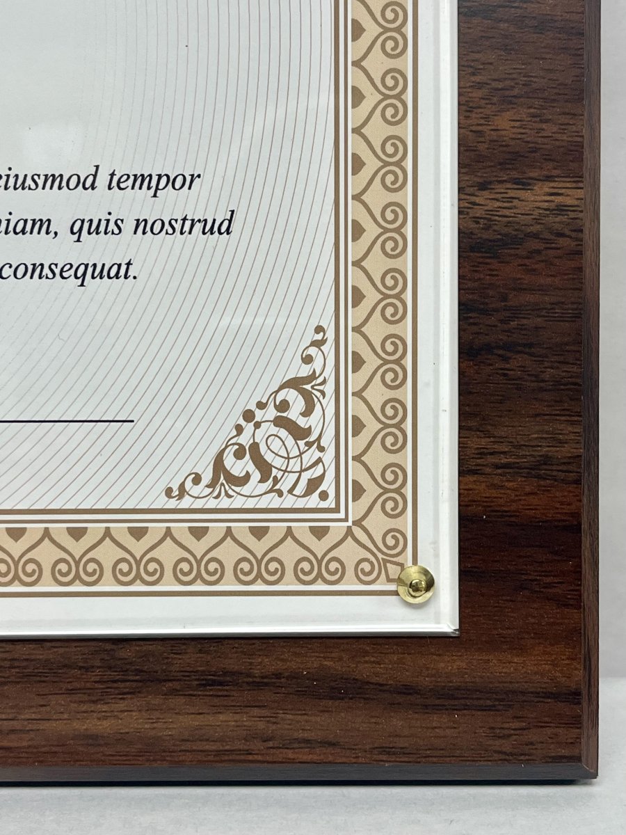 Veneer Certificate Plaque 10½" x 13" - Schoppy's Since 1921