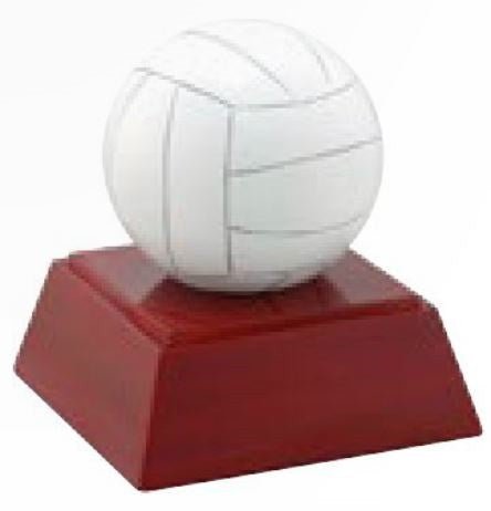 Volleyball Resin Sculpture - Schoppy's Since 1921