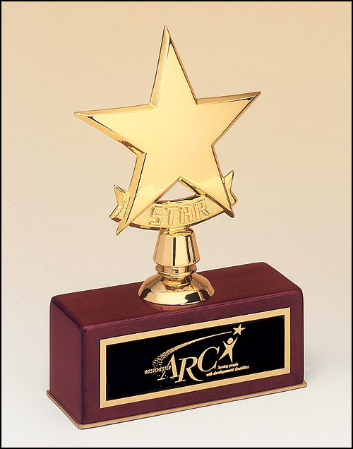 Polished metal Goldtone star trophy 