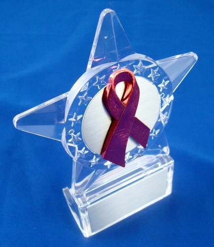 Awareness Ribbon Star Acrylic Trophy-Trophies-Schoppy&
