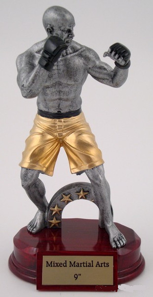 Mixed Martial Arts Trophy - Large-Trophies-Schoppy's Since 1921