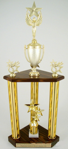 Star Crazy Three Column Trophy-Trophies-Schoppy&