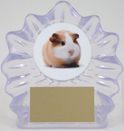 Small Flame Trophy with Full Color Guinea Pig-Trophies-Schoppy's Since 1921