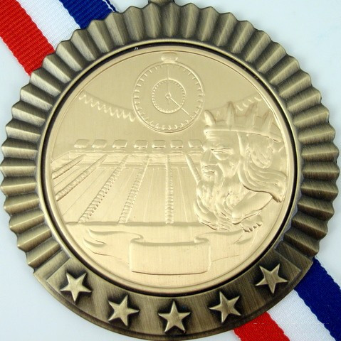 Gold Medal with King Neptune Pool Logo 5 Stars-Medals-Schoppy&