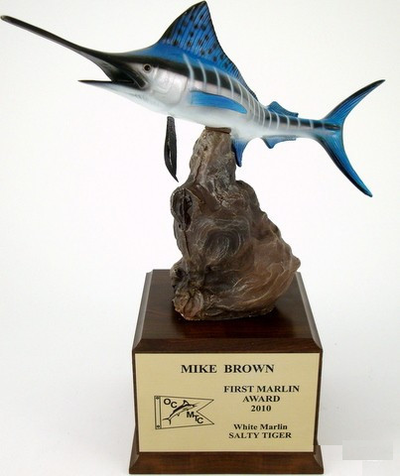 White Marlin on Driftwood and Wood Base-Trophies-Schoppy's Since 1921
