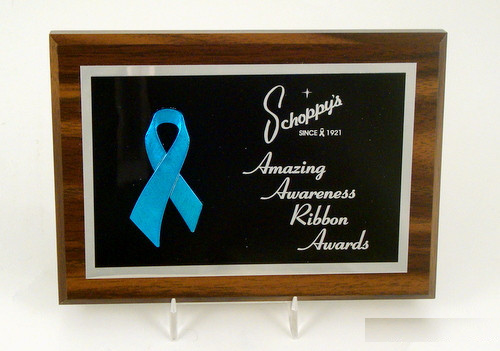 Awareness Ribbon Plaque 5" x 7"-Trophies-Schoppy&