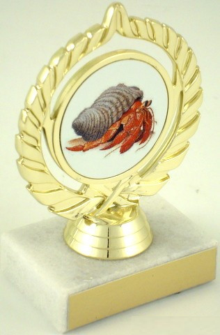 Hermit Crab Trophy-Medals-Schoppy's Since 1921