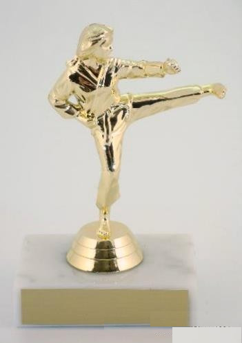 Karate Trophy on Marble Base-Trophies-Schoppy&