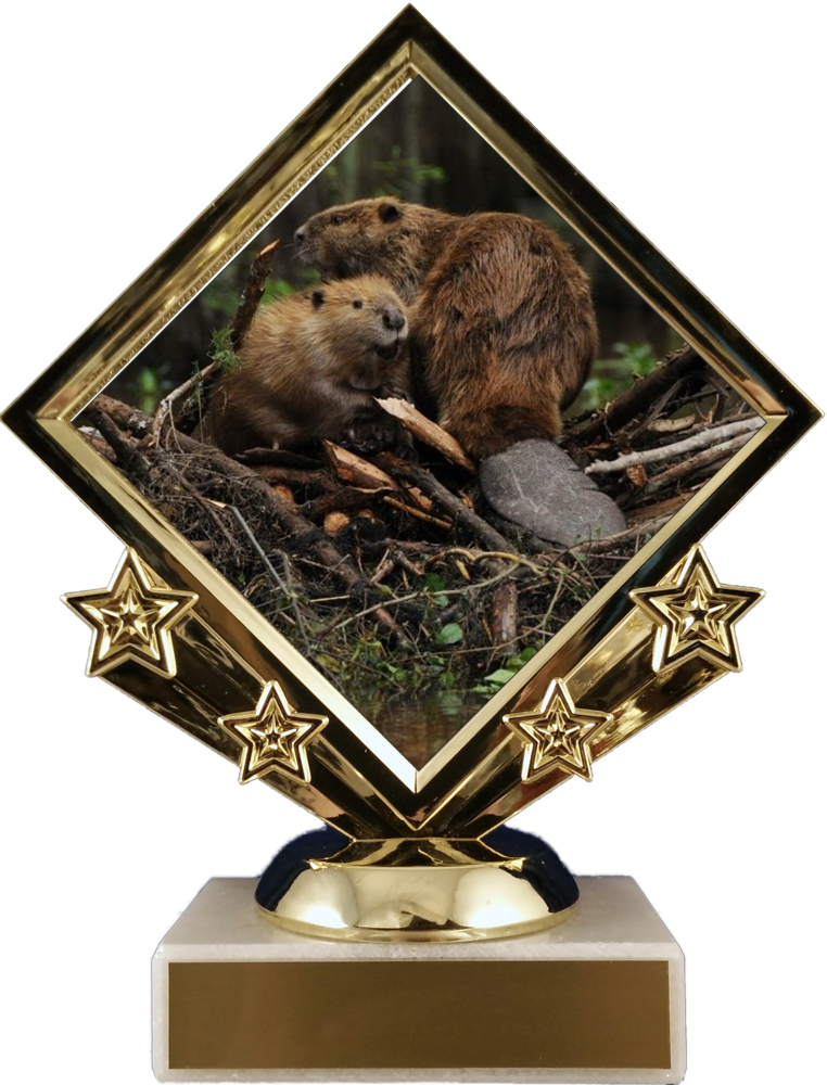 Beaver Logo Diamond Trophy-Trophy-Schoppy&