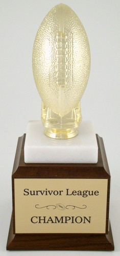 Golden Football Trophy-Trophies-Schoppy&