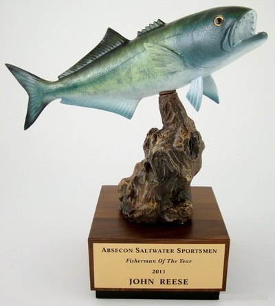 Bluefish on Driftwood and Wood Base-Trophies-Schoppy's Since 1921