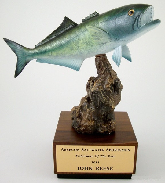 Bluefish on Driftwood and Wood Base-Trophies-Schoppy&