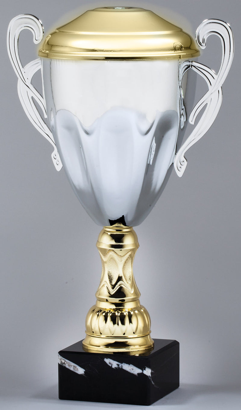 Classic Raised Silver Cup-Trophy-Schoppy&