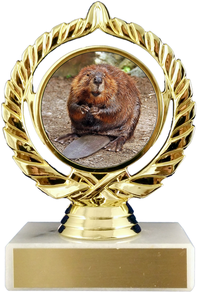 Beaver Logo Trophy On Flat White Marble-Trophy-Schoppy's Since 1921