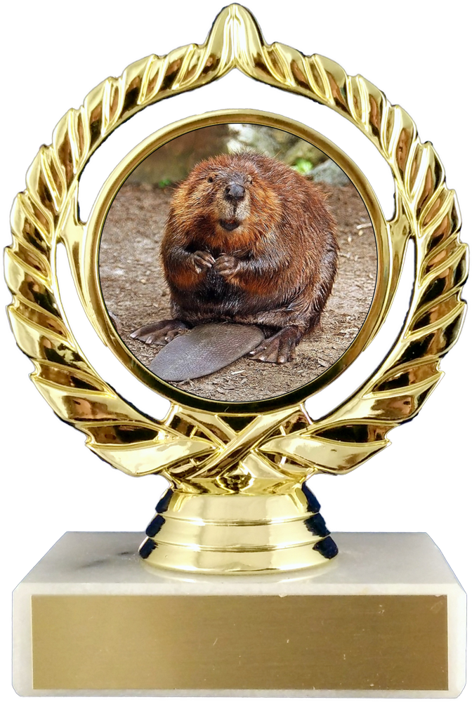 Beaver Logo Trophy On Flat White Marble-Trophy-Schoppy&