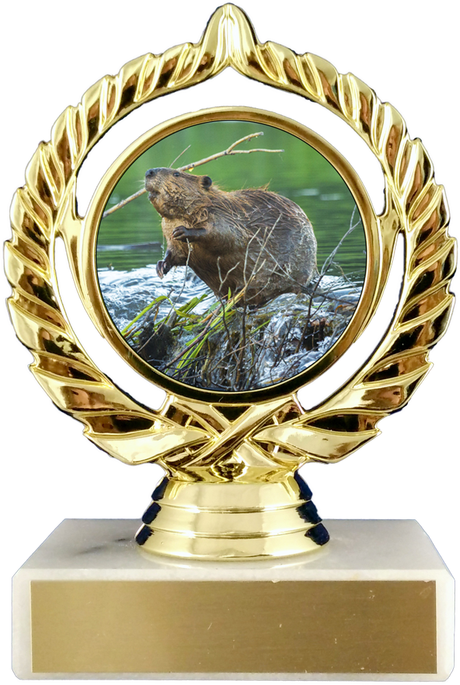 Beaver Logo Trophy On Flat White Marble-Trophy-Schoppy&