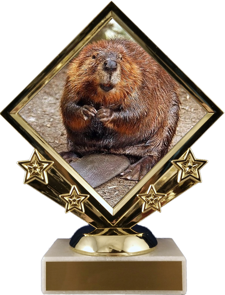 Beaver Logo Diamond Trophy-Trophy-Schoppy&