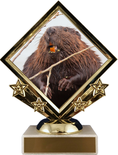 Beaver Logo Diamond Trophy-Trophy-Schoppy's Since 1921