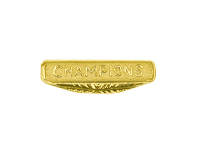 Champions Chenille Pin-Pin-Schoppy's Since 1921