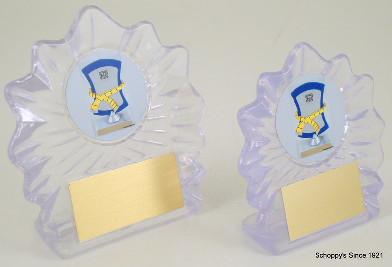 Weight Loss Acrylic Shell Trophy with Logo-Acrylic-Schoppy&