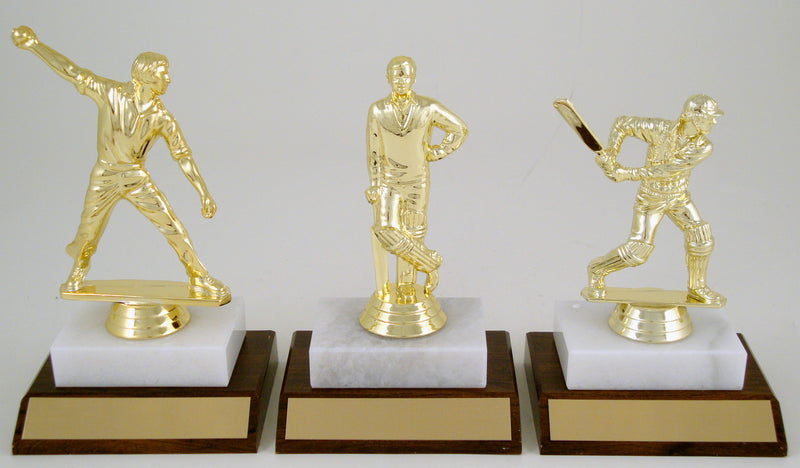 Cricket Player Trophy On Wood And Marble Base-Trophy-Schoppy&