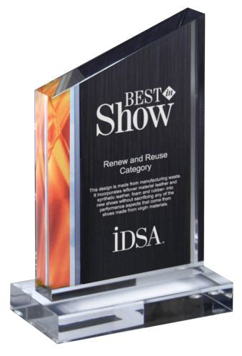 Flame Deco Series Slant Acrylic Award With Base-Acrylic-Schoppy's Since 1921