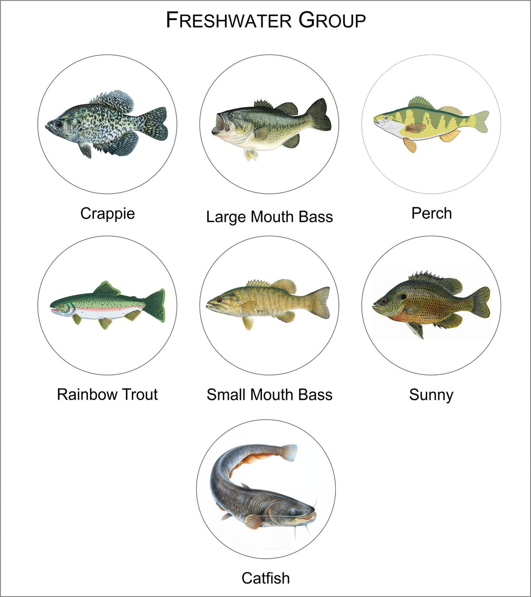 Fish Logo Medal-Trophies-Schoppy&