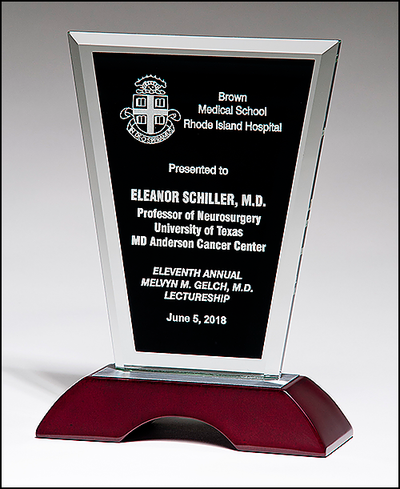 Clear Glass Award with Black Silk Screened Center on High Gloss Rosewood Base with Brushed Aluminum Top-Glass & Crystal Award-Schoppy's Since 1921