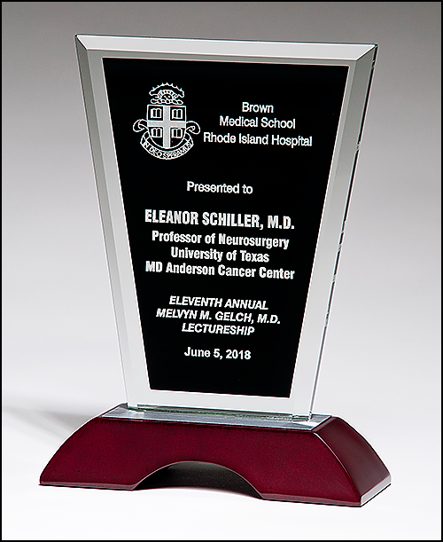 Clear Glass Award with Black Silk Screened Center on High Gloss Rosewood Base with Brushed Aluminum Top-Glass & Crystal Award-Schoppy&