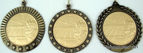 Gold Medal with King Neptune Pool Logo Stars-Medals-Schoppy&