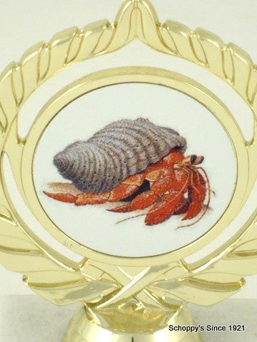 Hermit Crab Trophy on 3" Column-Trophies-Schoppy&