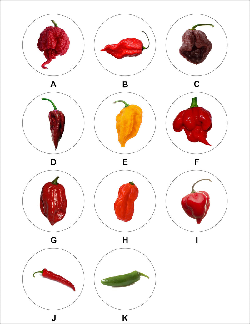 Pick Your Pepper Logo Medal-Medals-Schoppy&