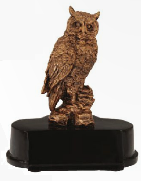 Owl Resin Trophy-Trophies-Schoppy's Since 1921