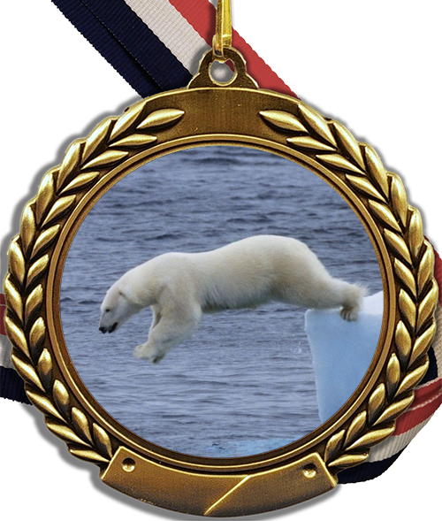 Polar Bear Plunge Logo Medal-Medals-Schoppy&