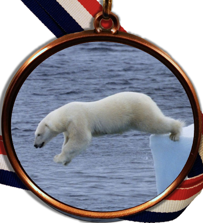 Polar Bear Plunge Logo Medal-Medals-Schoppy&